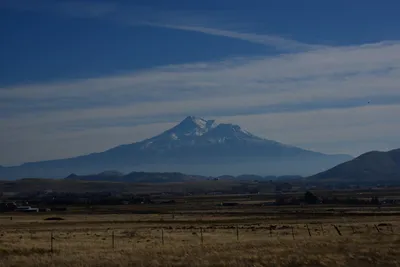 DSC_3129 (Large).JPG